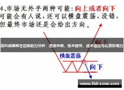 尼科威廉斯左边锋能力分析：速度突破、技术细节、战术适应与比赛影响力