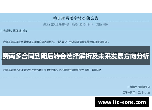 费南多合同到期后转会选择解析及未来发展方向分析