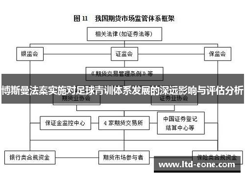 博斯曼法案实施对足球青训体系发展的深远影响与评估分析
