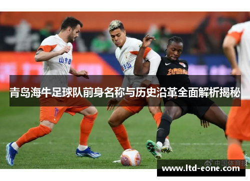 青岛海牛足球队前身名称与历史沿革全面解析揭秘