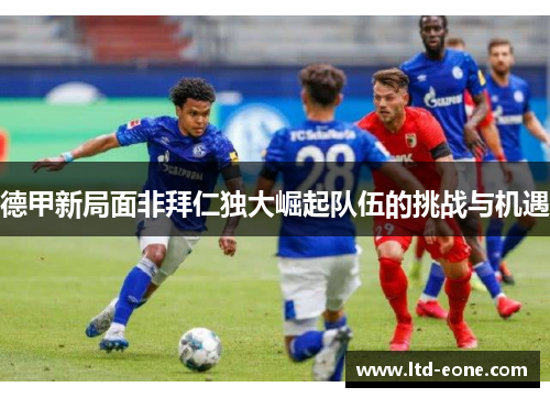 德甲新局面非拜仁独大崛起队伍的挑战与机遇