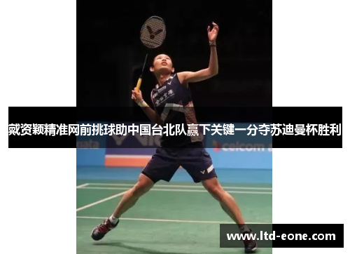 戴资颖精准网前挑球助中国台北队赢下关键一分夺苏迪曼杯胜利